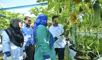 Projek Fertigasi UNIMADANI 2024 Catat Peningkatan Prestasi, Tuaian Cecah RM8,000